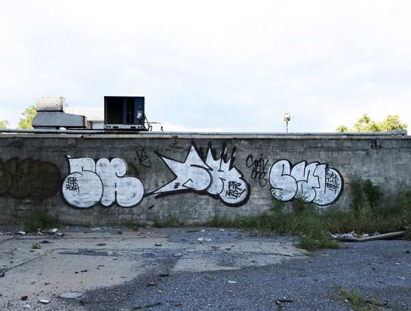 Carousel Image number 11